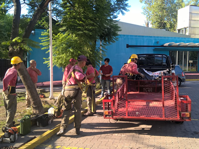 elementos de seguridad y trabajo
