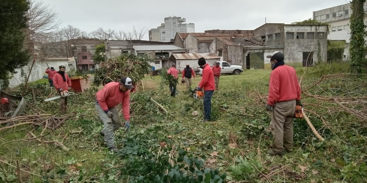 Vivero Los Pinos