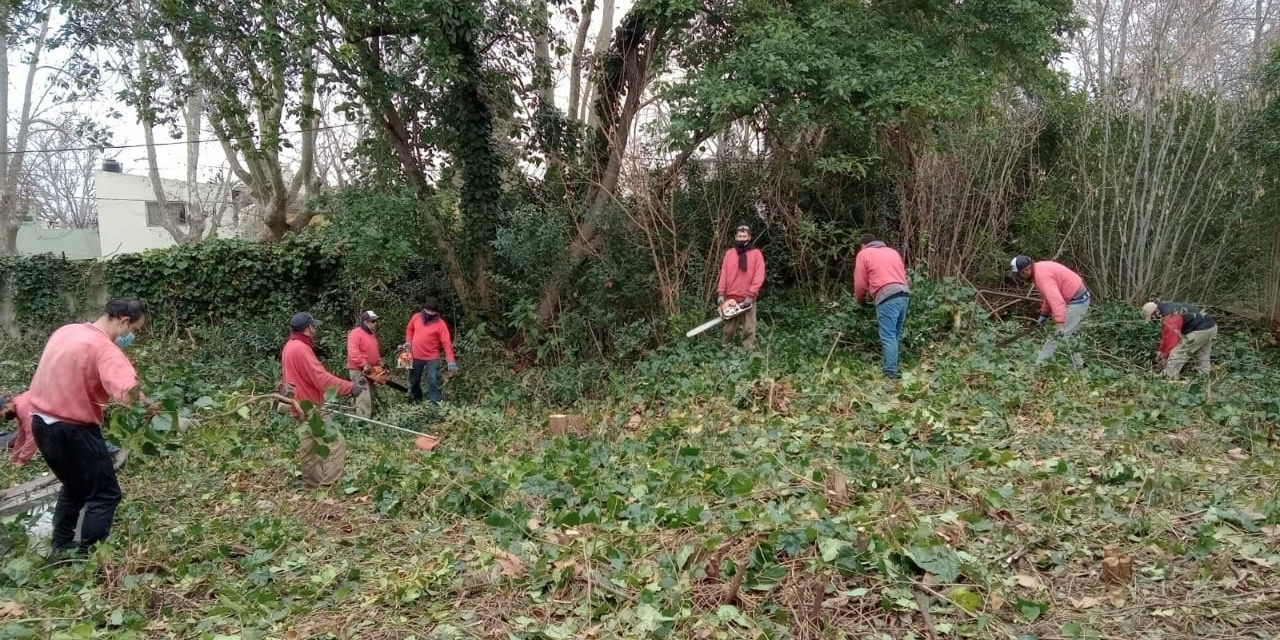 Vivero Los Pinos