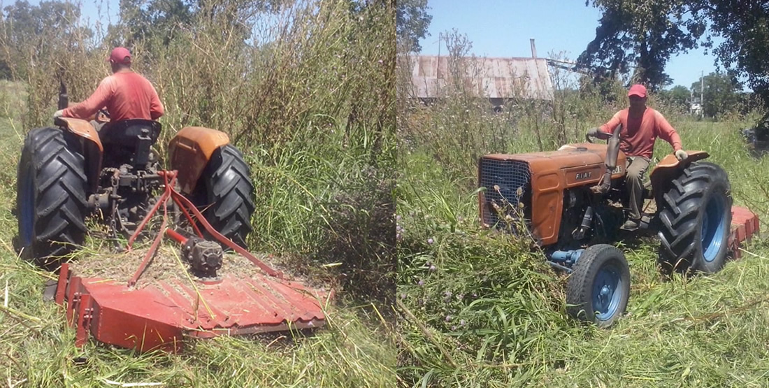 Vivero Los Pinos